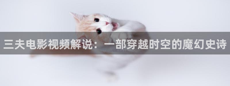 陪你到世界之巅免费观看星辰影视