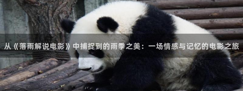 墨雨云间星辰影院在线观看免费观看电视
