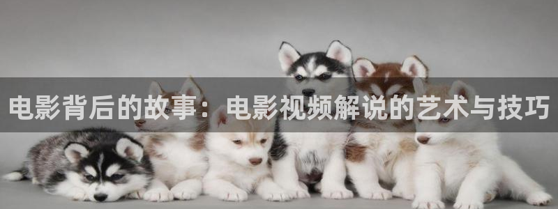 大侦探第9季免费观看星辰影院
