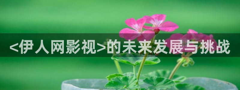 逐爱之心在线观看星辰影院免费