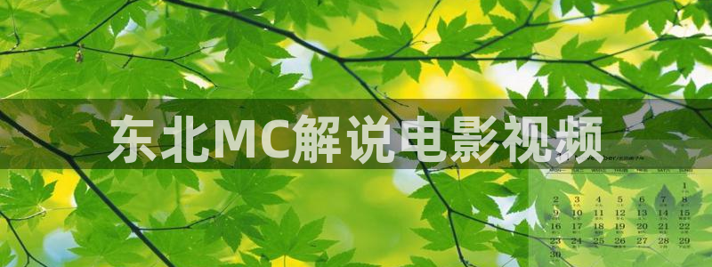 贺 先生的恋恋不忘星辰影视