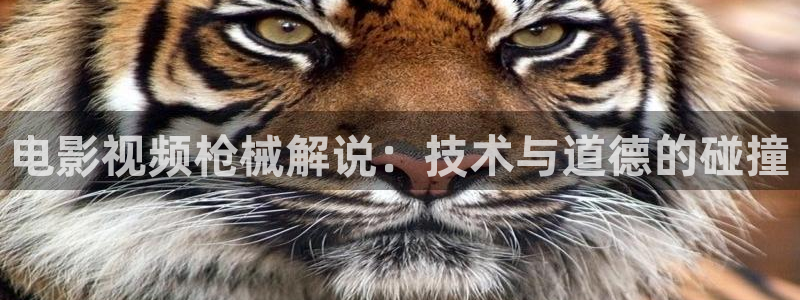 星辰影院去有风的地方