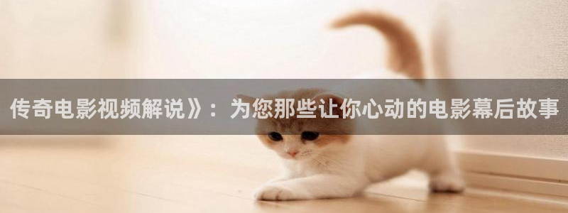 星辰影视下载免费下载