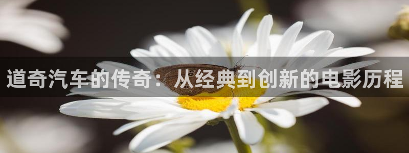 星辰影视.