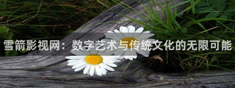 电视剧大决战星辰影视