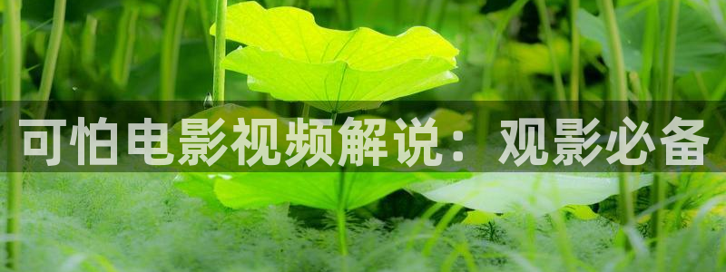 星辰影院电视剧在线看入口免费观看全集