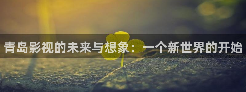 只为遇见你星辰影视