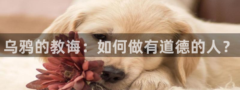 传家电视剧全集免费观看星辰影院
