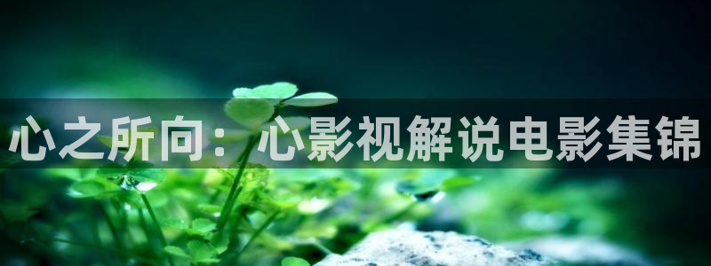 乡村爱情17免费播放星辰影视