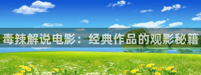 向风而行电视剧星辰影视