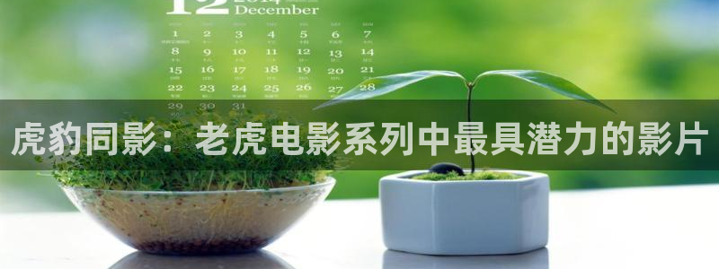 神马影院在线观看星辰