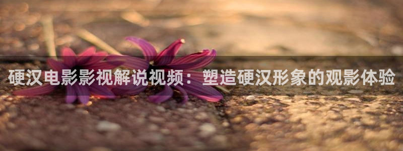 美人心计星辰影院在线观看