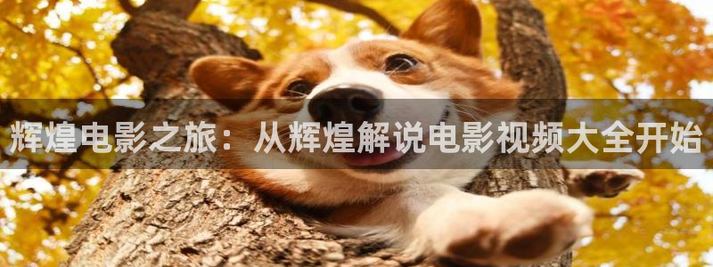 星辰影视永久版