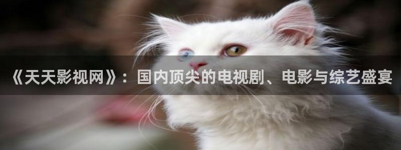 电视剧铁梨花星辰影院
