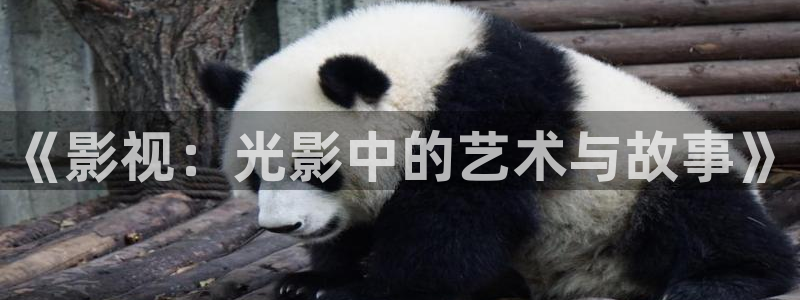 北京星辰合力影视